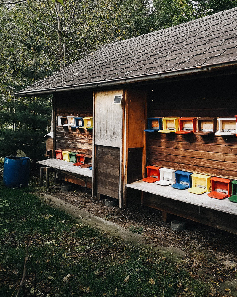 Marbee-all-natural-leather-balm-herstellung-2_Bienenhaus-mit-Schweizerkasten