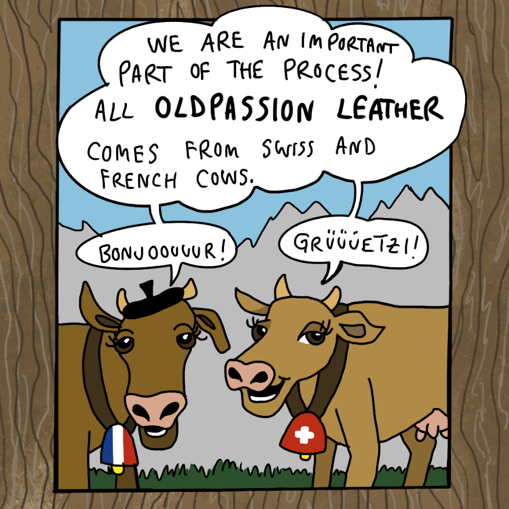 oldpassion Comic, Panel 10 von 14